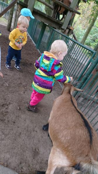 Ausflug in den Tierpark