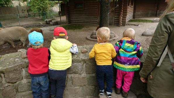 Ausflug in den Tierpark